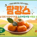 K D farm 테크홀릭