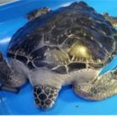 푸른바다 이미지