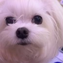 나우동물병원 이미지