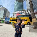 (주)노랑풍선시티버스 네이버블로그