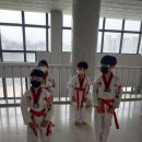 KTI태권도장 이미지