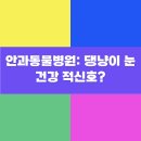 햇빛동물병원 | 안과동물병원: 댕냥이 눈 건강 적신호?