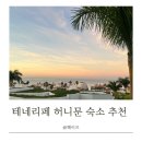로얄카써비스 | 테네리페여행 허니문 숙소 추천 로얄 하이드어웨이 코랄레스 비치