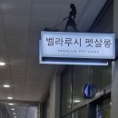 벨라루시 펫살롱 네이버블로그
