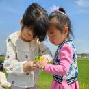 애기똥풀 어린이집 이미지