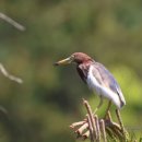 흰날개민박 이미지