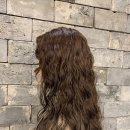 비그로브 비 이미지