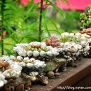 샛별글램핑 이미지