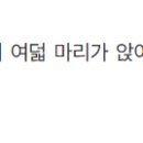 경기(광주) 초월읍 쌍동리의 팔학산과 장군봉 -위치 미상 이미지