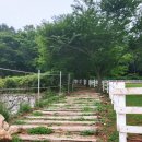 길인목장 이미지