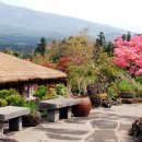 숨도 귤림성 이미지