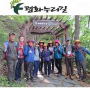 임진적벽길 이미지