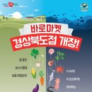 바로디자인 이미지