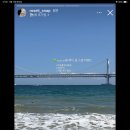 로젤리스냅 이미지
