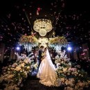 호암대로 이미지