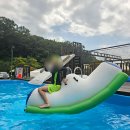 달그린캠프 네이버블로그