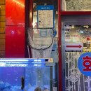 회꽃피는밤 | 부천역 횟집ㅣ 부천 대방어 정답은 회꽃피는밤