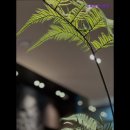 2535 | {부산, 횟집, 술집, 맛집, 날것, 추천!} 소복회 명지본점 부산 소복회, 신선한 활어 회