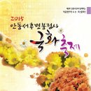 2015 안동서후면봉정사 국화축제 이미지