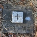 삼성1리 이미지