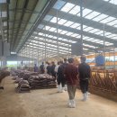 문금한우농장 이미지