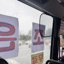 그라티아 | 가평 뚜벅이도 가기 좋은 그라티아 글램핑 내돈내산 후기