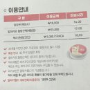 강원도 가볼만한곳 알파카월드 커플 홍천 힐링여행