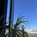 보다브라세리 이미지
