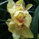 세기산업 이미지