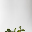 기장디지털도서관 이미지