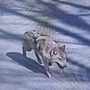 대전오월드 이미지