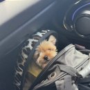 순댕이샵 이미지