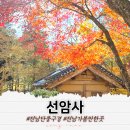 순천편백숲민박 | 전남 가볼만한 곳 단풍구경 순천 선암사