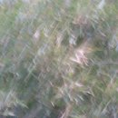 서양화 기초 이미지