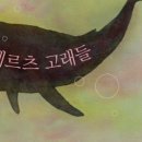 하얀고래 이미지