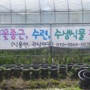 영승농장 이미지