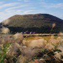 김영갑갤러리두모악미술관 이미지