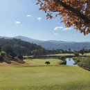 그레이스컨트리클럽 이미지