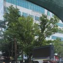 코스모스환경 이미지