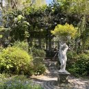 데이드림빌리버 이미지