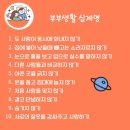 금메달태권도 네이버블로그