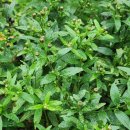 유휴정 | 경주독채민박 유휴정. 저는 이렇게 노출을 준비합니다