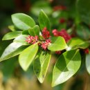 용수충혼묘지 이미지