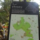 봉제산 등촌동 숲속놀이터 이미지