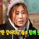 펑키타운 이미지