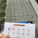 뚜레쥬르진부 | [공지] 청주 ‘스페이스피자’, 분위기 좋은 피자집 추천, 기념일 레터링 피자