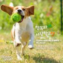 2024 행복하개🐶 사랑할고양🐱 부산동물사랑문화축제 ’위드펫스타‘ 이미지