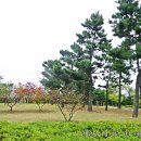 호수공원수변공원 이미지