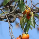 그림이있는 풍경 이미지