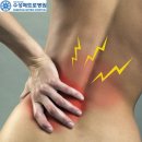 수성 메트로 동물병원 이미지